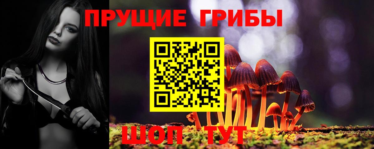 Псилоцибиновые грибы мицелий Конаково